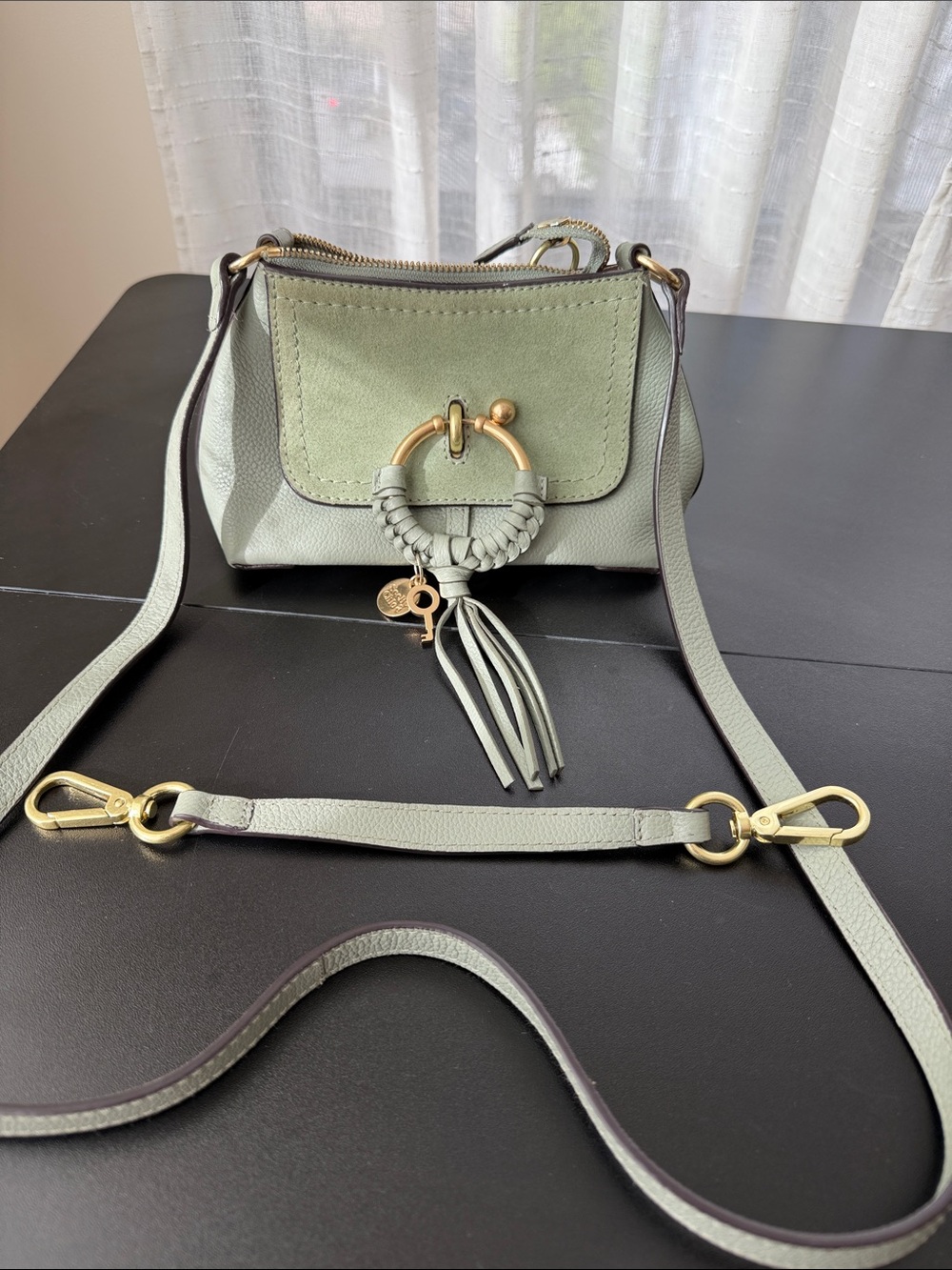 See By Chloe Pistachio Green Leather Crossbody with Tassel Ring